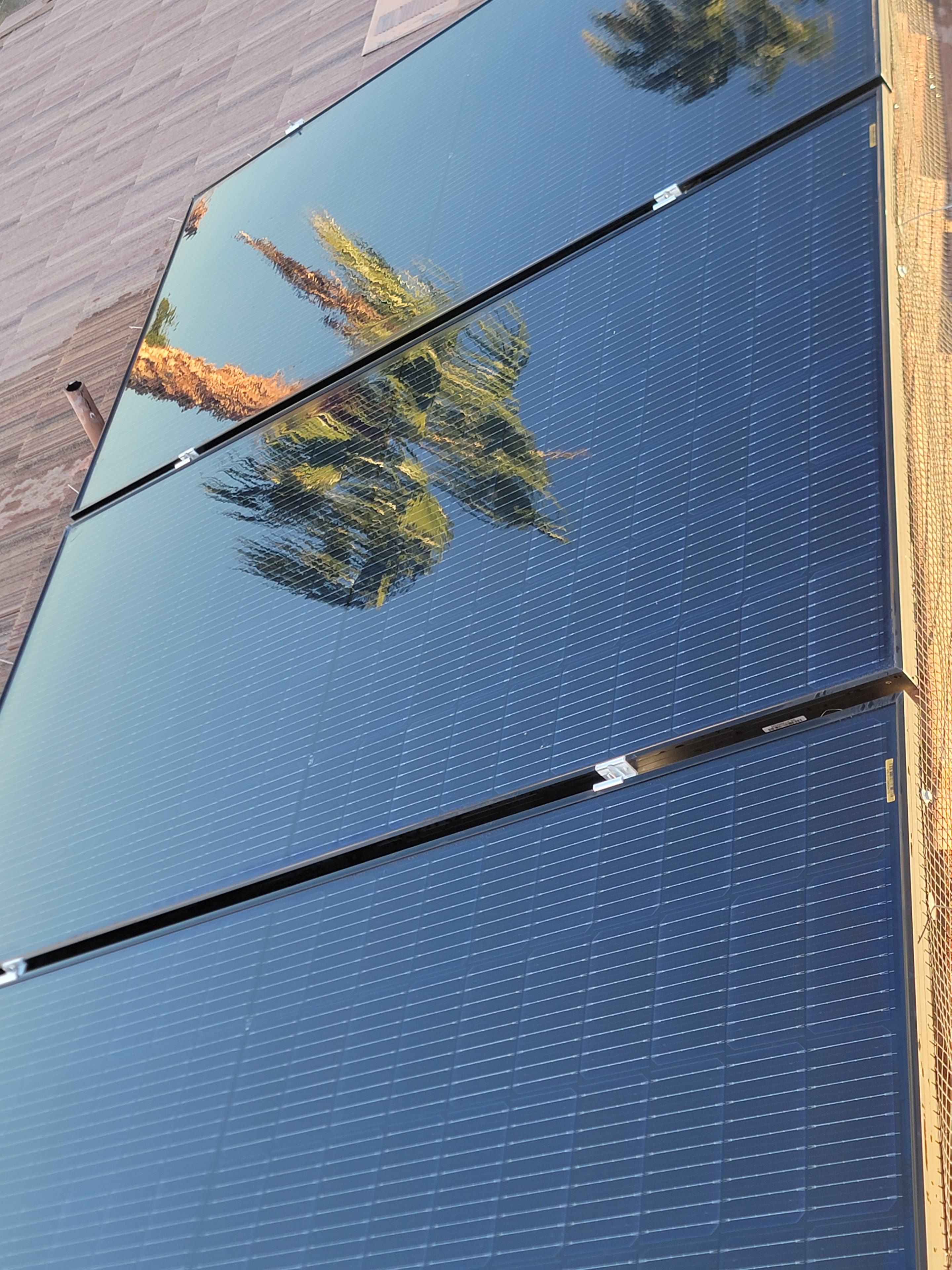 Solar panels after cleaning