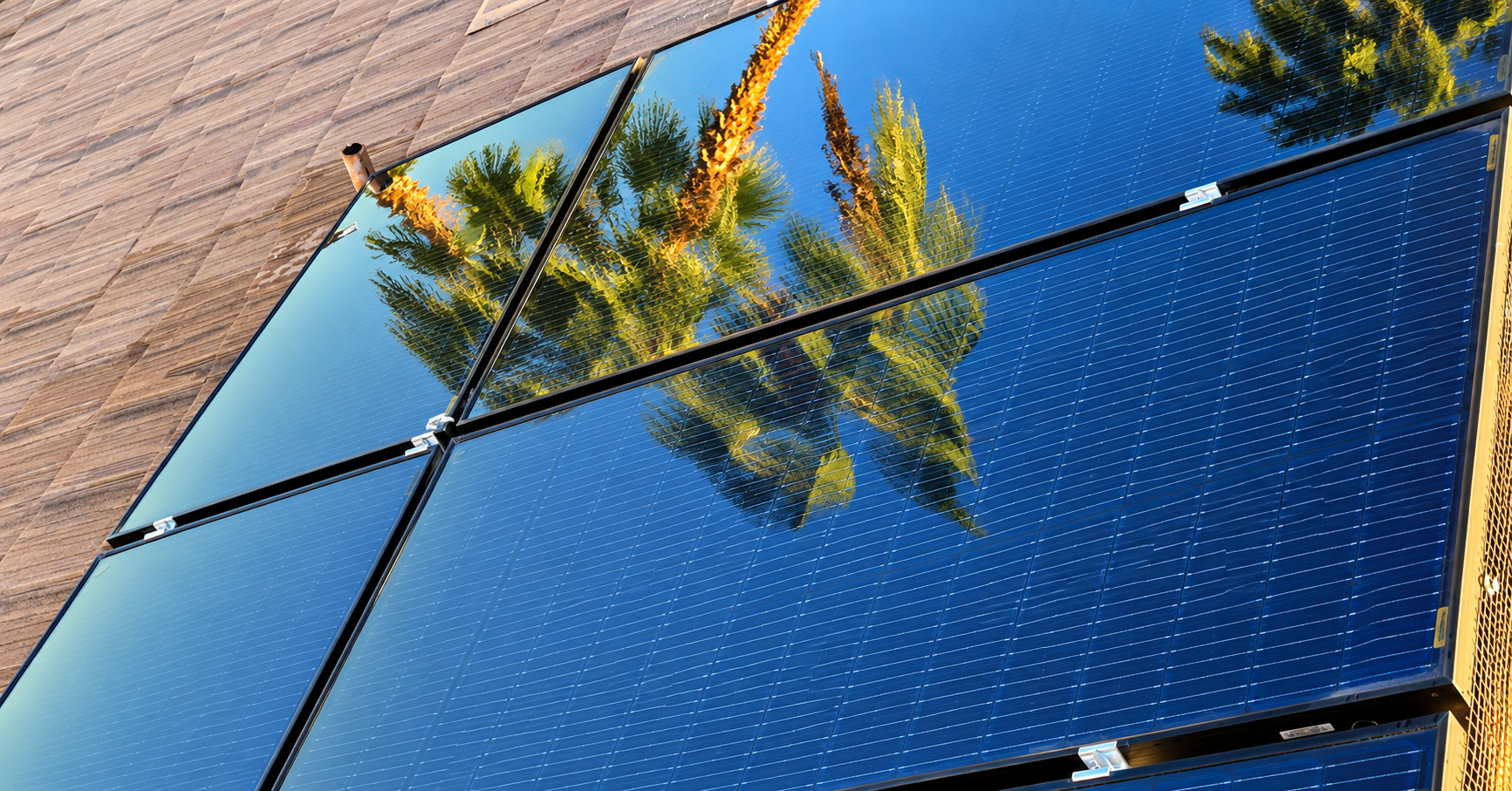 Freshly cleaned solar panels reflecting palm trees on Las Vegas Valley rooftop