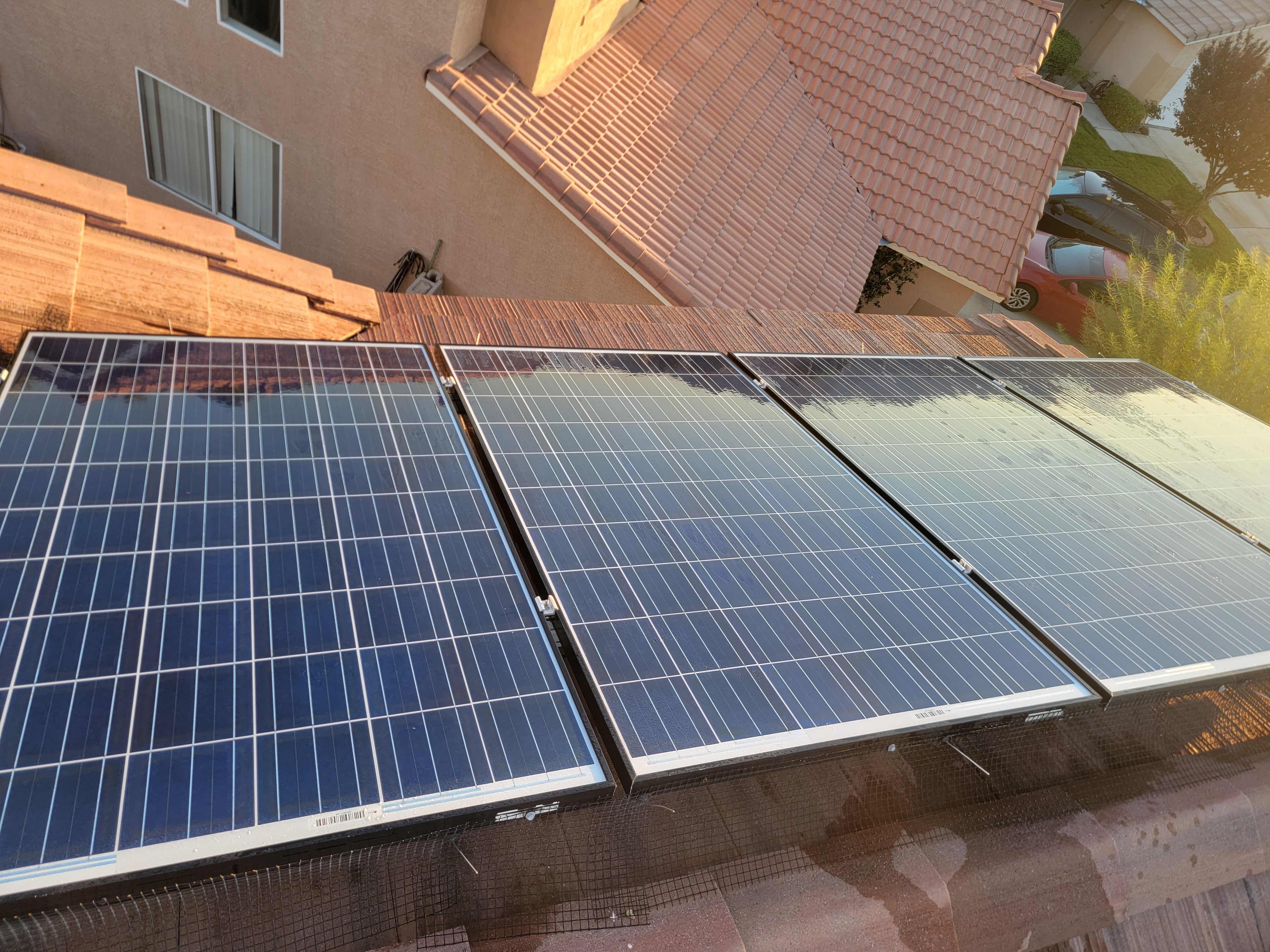 Freshly cleaned solar panels with bird proofing mesh on tile roof at golden hour